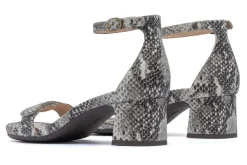 ABEO Avenue Strap Metatarsal