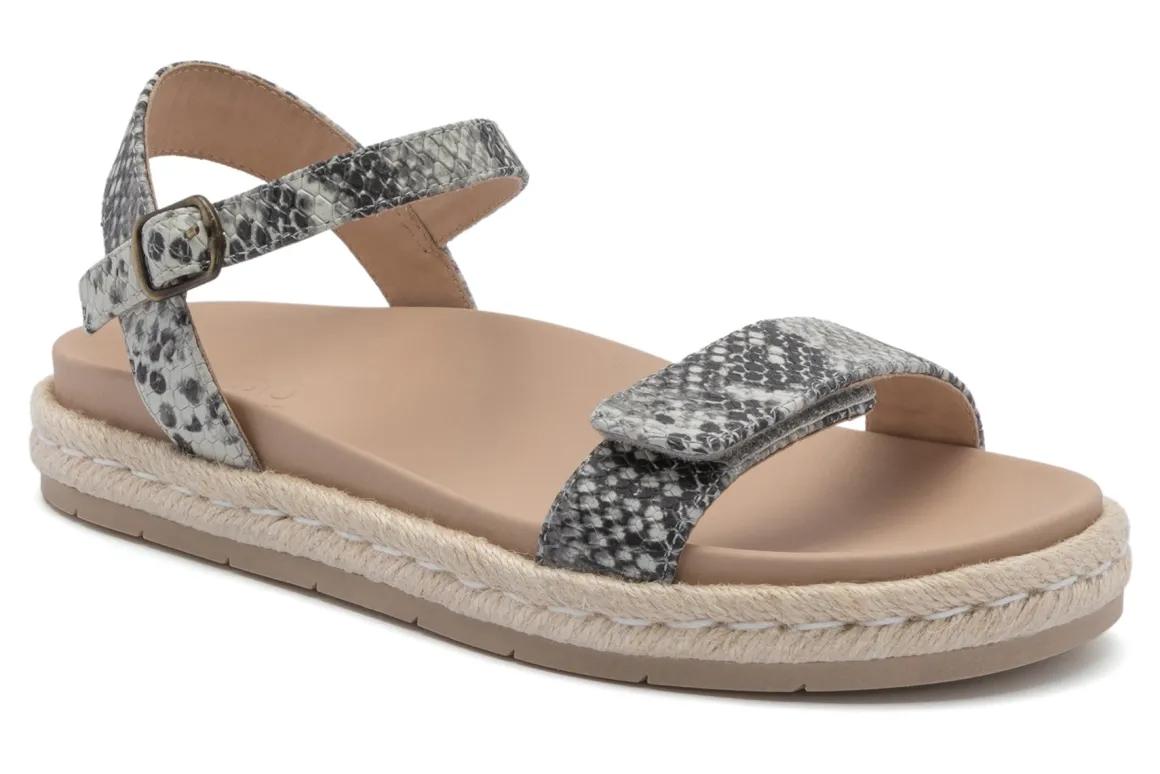 ABEO Isle Strap Metatarsal