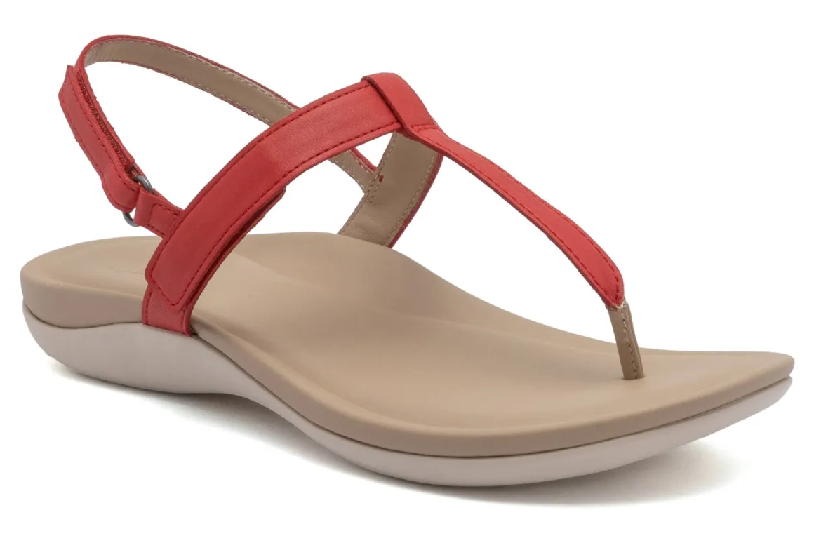 ABEO Oasis T Strap Metatarsal
