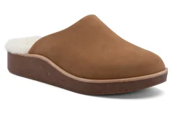 ABEO Pioneer Clog
