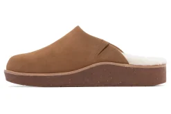 ABEO Pioneer Clog