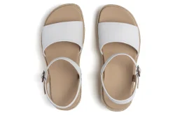 ABEO Solstice Buckle Sandal
