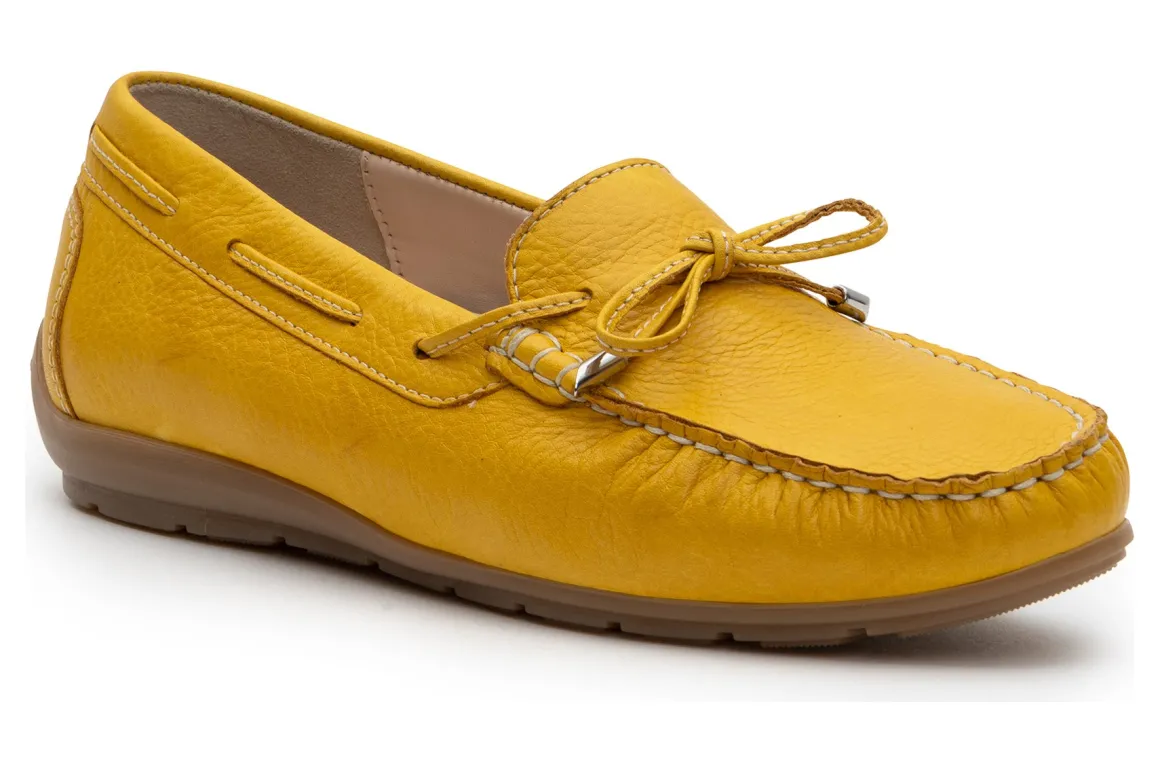 Ara Amarillo