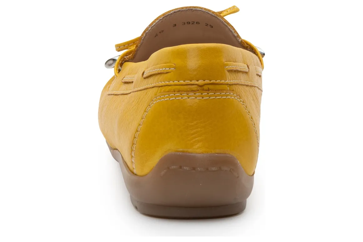 Ara Amarillo