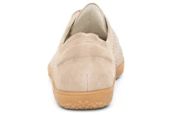 Ara Noel